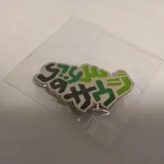 2025年最新】サウジアラビアピンバッジの人気アイテム - メルカリ