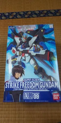 1/100 デスティニーガンダム 初回特典付き - メルカリ