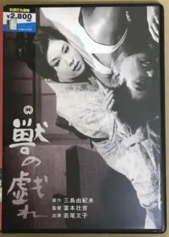 Item thumbnail for item affbe311-264a-4efd-ae5f-9215b6ba7b03