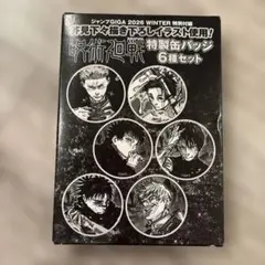 呪術廻戦 缶バッジ 6種セット