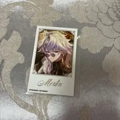 ホテルカルデア チェキ マーリン