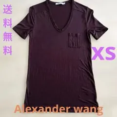 ALEXANDER WANG ダークブラウン Vネック Tシャツ XS