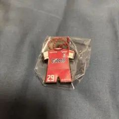 ファジアーノ岡山 応援グッズ