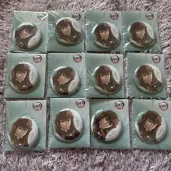 鬼滅の刃 無限城編 書き下ろしイラスト 飾れる缶バッジ 時透無一郎　12個