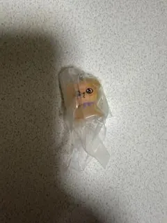 SKZOO めじるし puppym