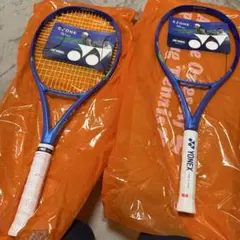 Item thumbnail for item 6843a610-ad4e-4b5b-a7e7-9897d54c557c