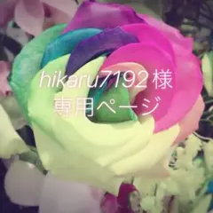 hikaru7192様 専用ページ