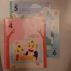 Item thumbnail for item d7d612d6-ffe4-470e-9f64-d1af2502ef90