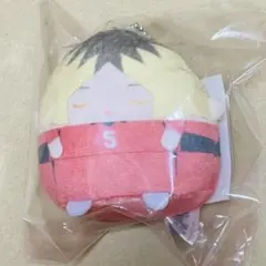 ハイキュー ぬいくじ 研磨