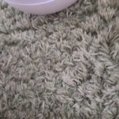 プロジェクタージャンク