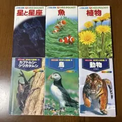 図鑑　ポケット　星と星座　魚　植物　カブトムシ・クワガタムシ　鳥　動物　6冊