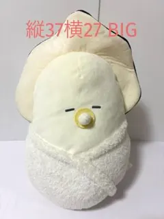 어리석은 눈동자