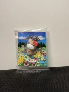 2026年最新】オコジョキティの人気アイテム - メルカリ