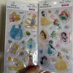 ディズニープリンセス　エポキシラメシール