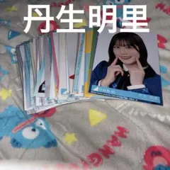 乃木坂46 丹生明里 生写真 まとめ売り 80枚