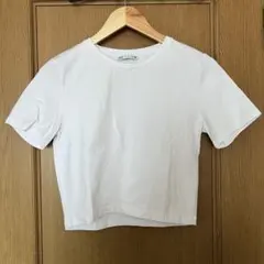 zara クロップド丈Tシャツ　半袖　L
