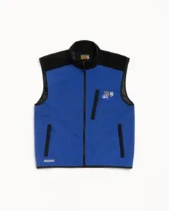 OLD STUSSY ステューシー リバーシブルフィッシングダウンベスト