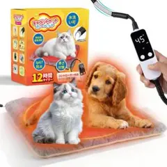 Item thumbnail for item 9cb915bb-0dd2-4ea9-9299-f3088eeeecd0