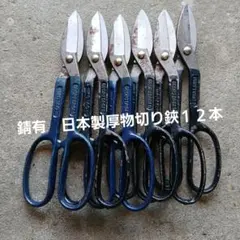 値下げ越後鋏鍛冶職人の剪定鋏180mm 錆有品 - メルカリ