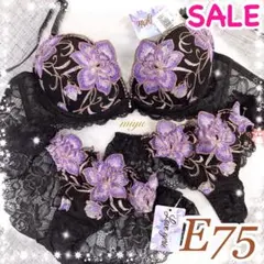 サルート 24G ノーマルショーツ M BL サルート Salute ワコール Wacoal 20シリーズ ノーマルショーツ