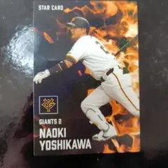 Item thumbnail for item 7da3301d-a85c-4cbe-b862-23a846f4480b