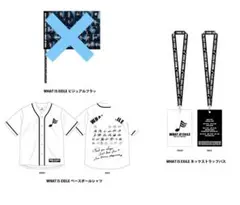 EXILE アプグレ グッズ WHAT IS EXILE