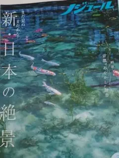 Item thumbnail for item 5ddcbb09-52c8-44de-a2d7-eecdb27ee69d