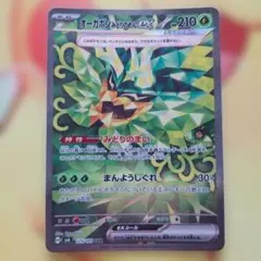 ポケポケ @プロフ必読様 リクエスト 2点 まとめ商品