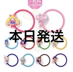 美少女戦士セーラームーンアクリルヘアゴムコンプリートセット