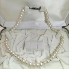 Item thumbnail for item abf265c8-72c8-4a90-81a8-e5d89bb86e4d