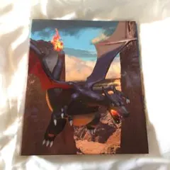 コレクションファイル 色違いのリザードン