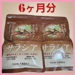 Item thumbnail for item 40e95aed-9b5c-4dea-bd4b-3c8c1580eac6