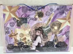 蛇腹ファイル 雑貨