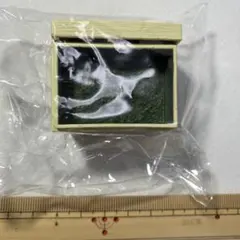 Item thumbnail for item c4b39109-ffbf-4d6d-9356-2fe848d13bcf