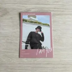 I am YOU ポラロイド / Stray Kids / チャンビン (85)