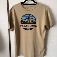 パタゴニア　ロゴTシャツ