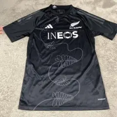 Item thumbnail for item 491582d1-7e31-49f8-868f-fc08cfd82e2b