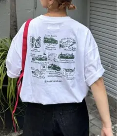 【新品】チャオパニックティピー 別注グラフィックアソートTシャツ くま