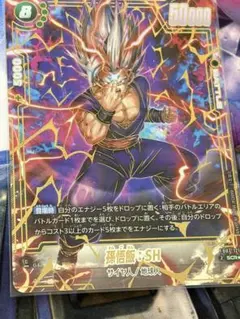 DBFW 神龍への願い SCR 孫悟飯:SH - メルカリ