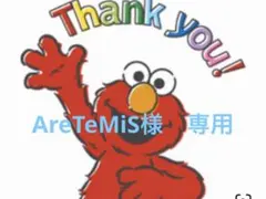 AreTeMiS様 リクエスト 2点 まとめ商品