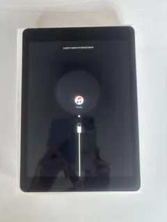 iPad (6th Generation) 32GB スペースグレー　ジャンク