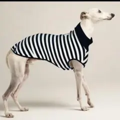 犬服　わんこ　洋服　ボーダー　中型犬大型犬　新品　XXXLのサムネイル