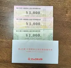 ビックカメラ　コジマ　株主優待券　計3000円分