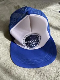 Item thumbnail for item 88ed3f3b-c650-491d-9613-b1bec8515b1f