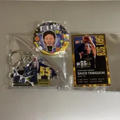 群馬クレインサンダーズ 谷口大智缶バッジ3個セット - メルカリ
