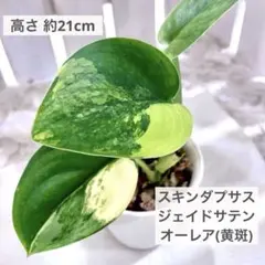 ✩maco✩様 リクエスト 2点 まとめ商品