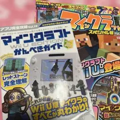 マインクラフト　wii u版　ガイド中古