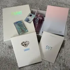 4/19発送 SEVENTEEN CARAT 本国 ファンクラブ3期グッズ