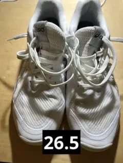 Item thumbnail for item 59e225f5-aee4-4293-be00-37d763f3ca50