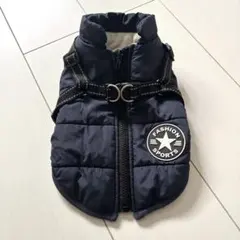 Item thumbnail for item 9d09919f-c2c4-408d-9700-0f07699d36a5